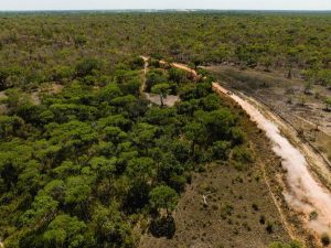 Portal Jaciara Barros – Estrada de terra em Tocantins cruza floresta na maior ilha fluvial, com veículo levantando poeira ao passar. – Portal Jaciara Barros