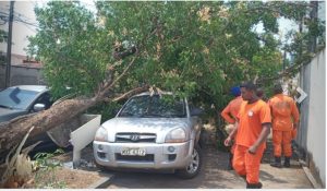 Portal Jaciara Barros – Uma árvore caiu sobre um SUV prateado enquanto agentes da Defesa Civil avaliavam os danos causados pela tempestade. – Portal Jaciara Barros