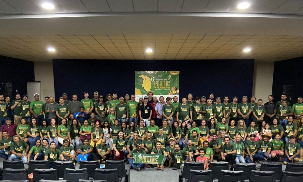 Araguatins sedia 6º encontro de apicultores de meliponicultores da região Tocantina – Portal Jaciara Barros Foto ilustrativa referente ao tema abordado