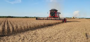 Colheitadeira em uma plantação de soja