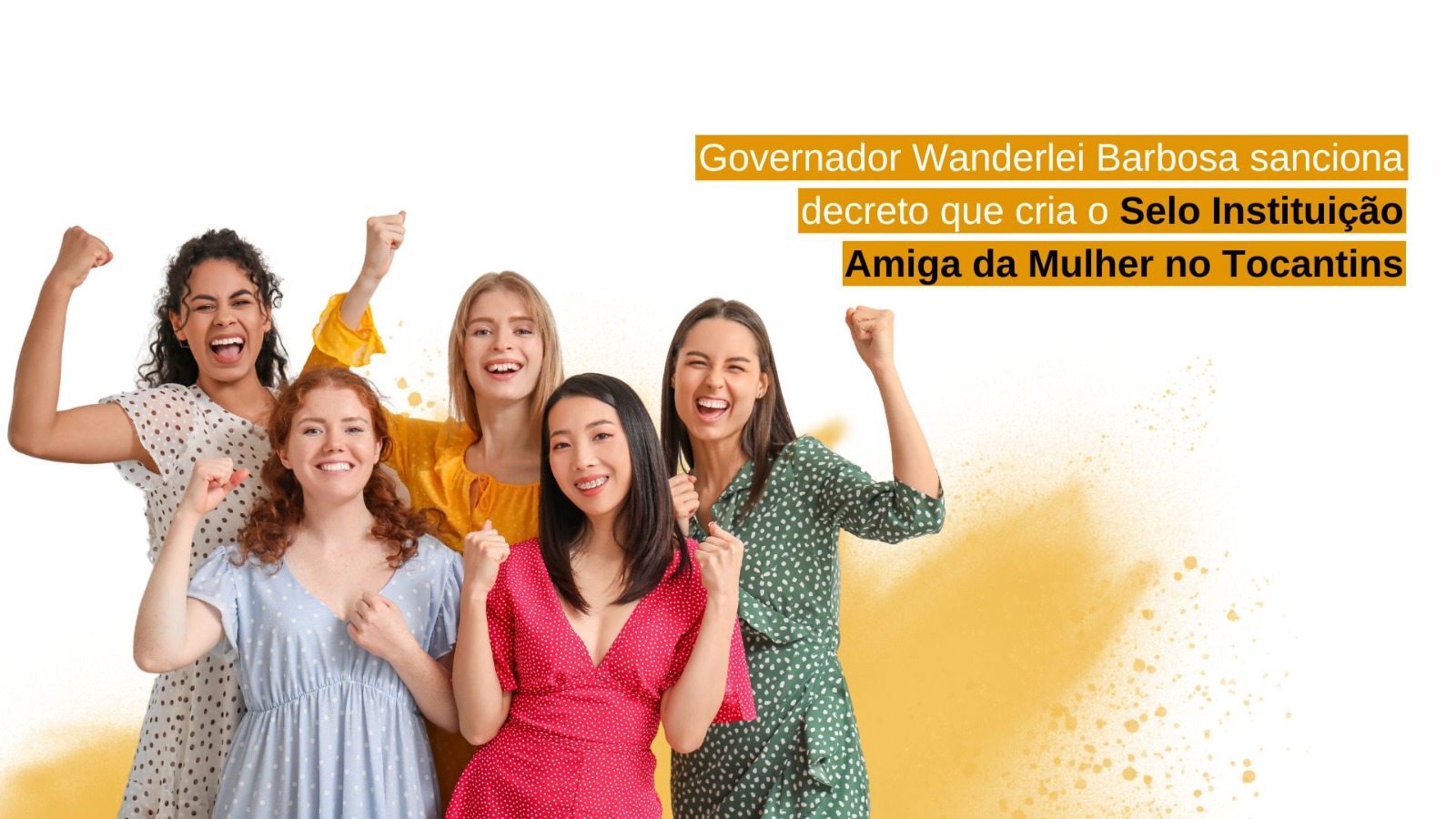 Governador Wanderlei Barbosa sanciona decreto que cria o Selo Instituição Amiga da Mulher no Tocantins 35