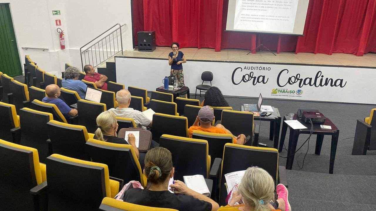Check-list de Milhões - Quem Tem Medo de Edital: Carla Lisboa lança curso online gratuito com dicas para elaboração de projetos culturais 35