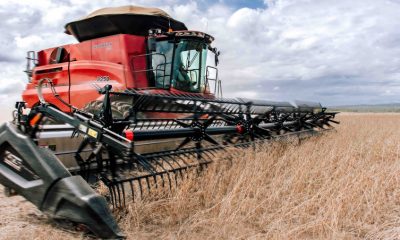 Safra 2024/2025 bateu recorde no estado, com 8,9 milhões de toneladas de grãos produzidas, segundo dados da Conab (Crédito foto: Keven Lopes/Governo do Tocantins)