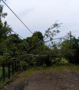Chuva no fim de semana