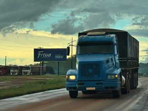 Safra 2024/2025 impulsiona movimentação de grãos nos entrepostos da Frísia