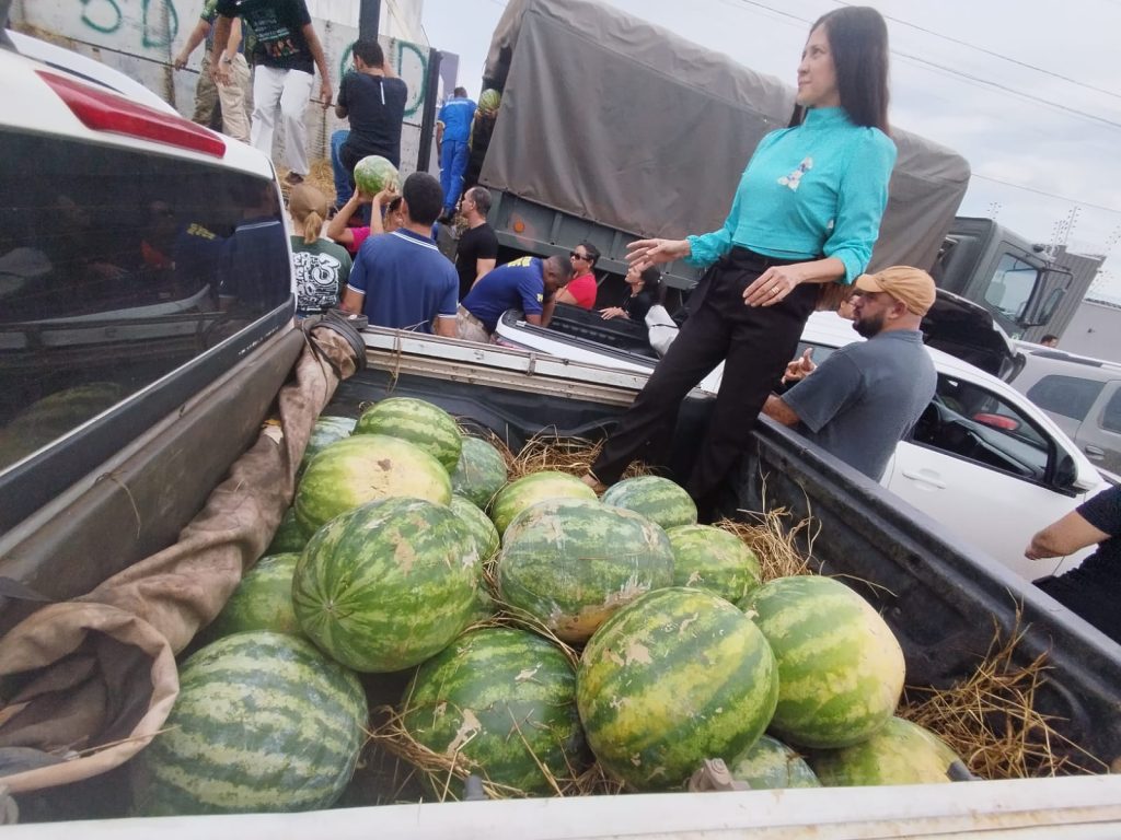 doação de melancias apreendidas