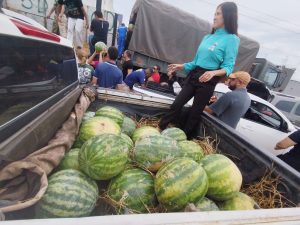 doação de melancias apreendidas