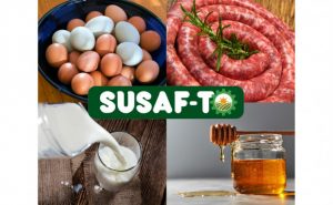 Produtores contam com orientação para implantação do SIM e Susaf na Agrotins 25 anos - Foto: Seagro/Governo do Tocantins