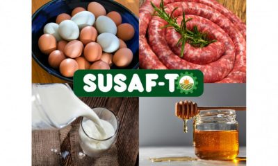 Produtores contam com orientação para implantação do SIM e Susaf na Agrotins 25 anos - Foto: Seagro/Governo do Tocantins