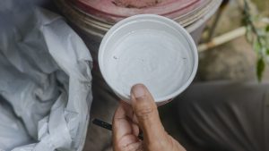 Sorteio do ‘Nota Palmense Premiada’ acontece neste sábado, 19