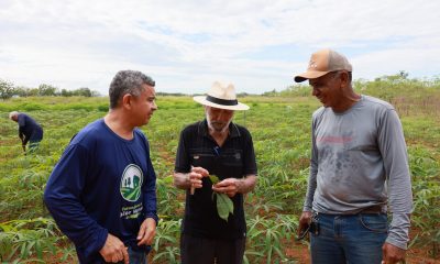 Agroevolução marca participação da Fazendinha na Agrotins 2025 com produção sustentável e criação de peixes