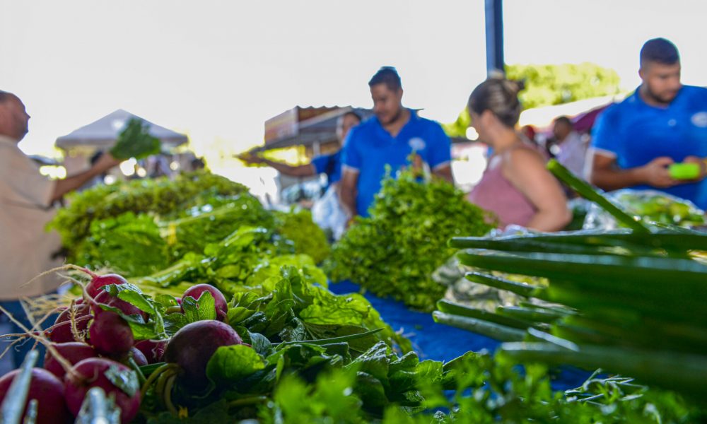 Prefeitura de Palmas realiza cadastro de comerciantes para feiras da Capital durante Agrotins 2025