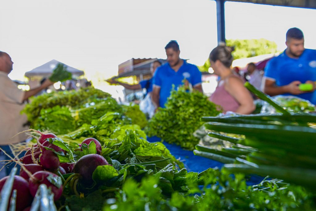 Prefeitura de Palmas realiza cadastro de comerciantes para feiras da Capital durante Agrotins 2025
