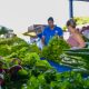 Prefeitura de Palmas realiza cadastro de comerciantes para feiras da Capital durante Agrotins 2025