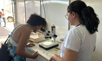 No primeiro dia da Agrotins 25 anos, SES/TO exibe o laboratório de entomologia - Foto: SES/Governo do Tocantins