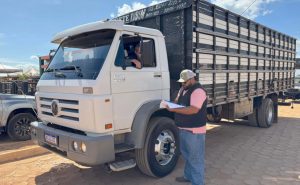 Produtores rurais durante atendimento na Unidade Local da Adapec na Agrotins 25 anos - Foto: Majuh Souza/Governo do Tocantins