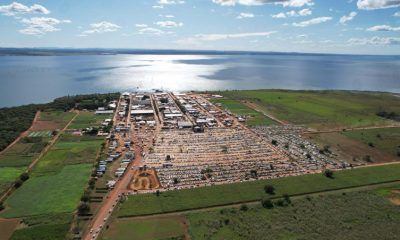 Governo do Tocantins encerra Agrotins 25 anos com mais de R$ 5 bilhões em negócios e reforço à inovação e ao agro tocantinense - Foto: Seagro/Governo do Tocantins