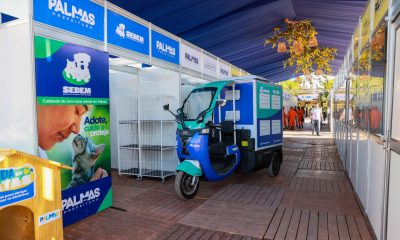 Prefeitura de Palmas anuncia na Agrotins mutirão que atenderá mil animais no Jardim Aureny III