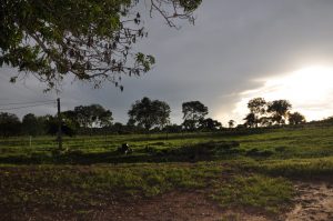 Posse exclusiva de imóvel herdado pode caracterizar usucapião entre herdeiros