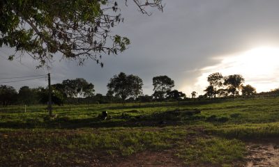 Posse exclusiva de imóvel herdado pode caracterizar usucapião entre herdeiros