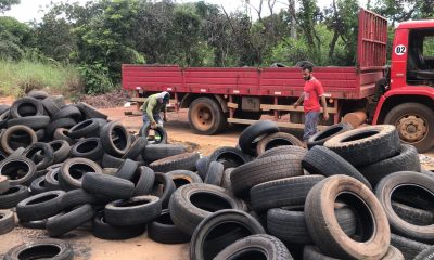 Prefeitura de Palmas retira mais de 100 pneus descartados irregularmente na região sul da Capital