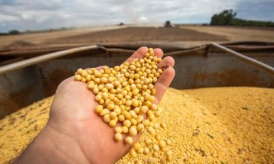 APROSOJA TOCANTINS lança campanha na Agrotins para valorizar a soja e aproximar o campo da cidade