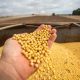 APROSOJA TOCANTINS lança campanha na Agrotins para valorizar a soja e aproximar o campo da cidade