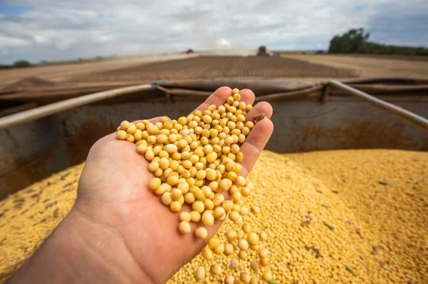 APROSOJA TOCANTINS lança campanha na Agrotins para valorizar a soja e aproximar o campo da cidade 36 APROSOJA TOCANTINS lança campanha na Agrotins para valorizar a soja e aproximar o campo da cidade