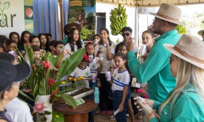 Programação do Projeto Germinar na Agrotins enfatiza evolução das formas de produzir