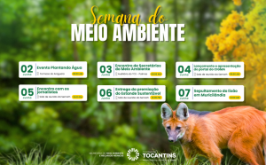 Programação abrange ações em três municípios: Formoso do Araguaia, Palmas e Muricilândia - Foto: Semarh/Governo do Tocantins