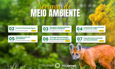 Programação abrange ações em três municípios: Formoso do Araguaia, Palmas e Muricilândia - Foto: Semarh/Governo do Tocantins