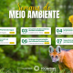 Programação abrange ações em três municípios: Formoso do Araguaia, Palmas e Muricilândia - Foto: Semarh/Governo do Tocantins