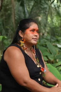 Documentário Uma estrada que corta o território do Xerente