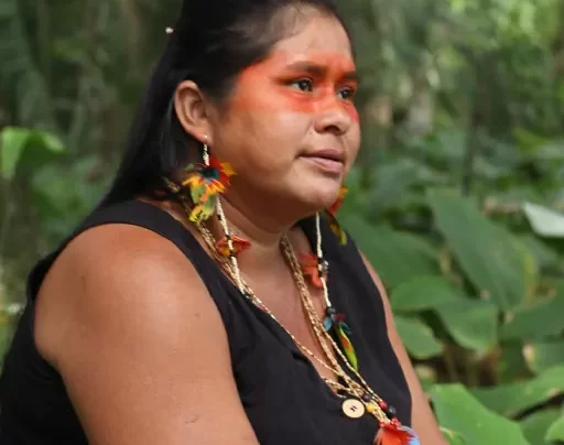 Documentário Uma estrada que corta o território do Xerente