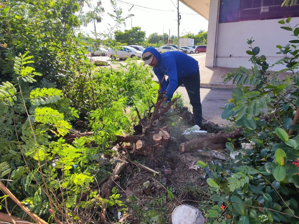 Mutirão retira mais de 400 toneladas de entulhos de quadras em Palmas