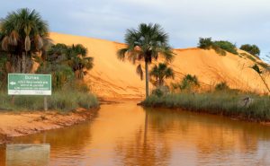 Ação teve como objetivos prevenir incêndios florestais no período de estiagem e proteger os ecossistemas naturais da região