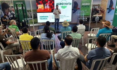 Técnicos do Senar Tocantins participam de capacitação em apicultura e meliponicultura