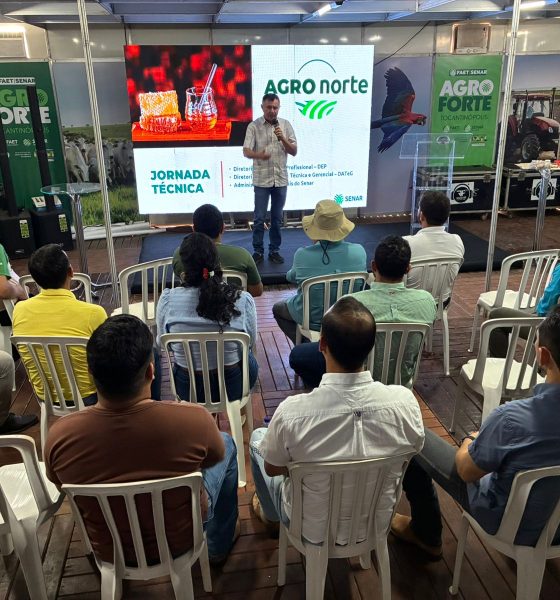 Técnicos do Senar Tocantins participam de capacitação em apicultura e meliponicultura