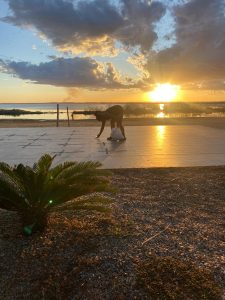 Projeto do Coletivo Flácido reuniu artistas de diversas regiões para criar performances e graffiti que dialogam com a história e o território de Palmas