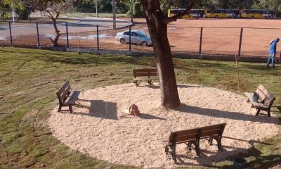 Instalação de bancos no restaurante na região Norte – Foto: divulgação