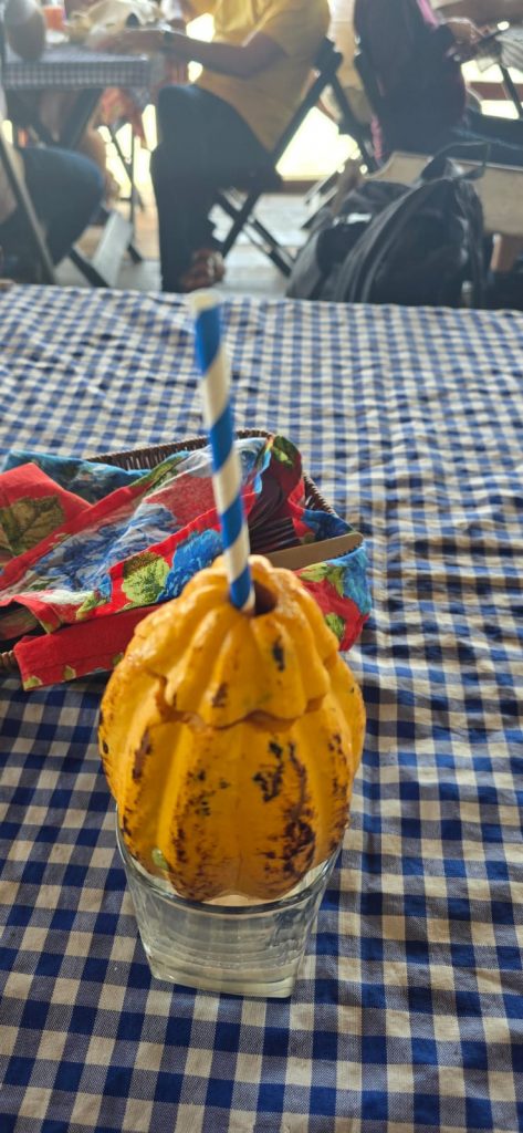 Bebidas naturais, direto da fruta.