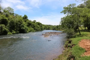 Governo do Tocantins realiza 1º Encontro de Secretários do Meio Ambiente durante Semana do Meio Ambiente