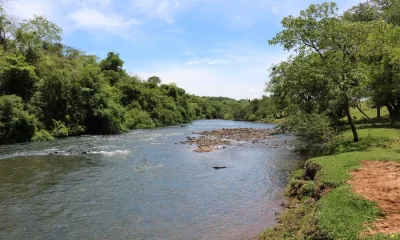Governo do Tocantins realiza 1º Encontro de Secretários do Meio Ambiente durante Semana do Meio Ambiente