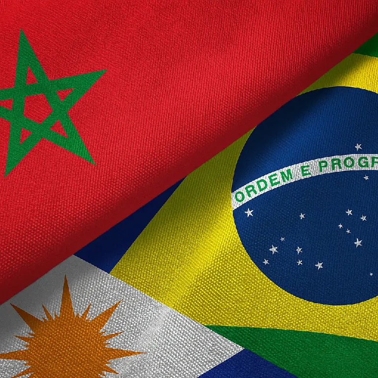 LIDE Brasil Forum Marrocos 2025: Conexões Estratégicas 36 LIDE Brasil Forum Marrocos 2025