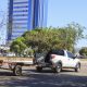 Felix Carneiro – Governo do Tocantins