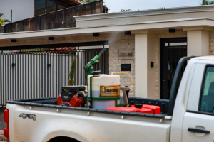 Semus adota estratégias variadas para combater transmissores de arborivoses – Foto: Arquivo Semus