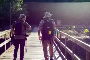 Projeto “8 Cantos do Cesamar” transforma cantos de aves do Parque Cesamar em músicas instrumentais inéditas