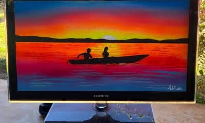 ​ELixo eletrônico vira arte e convida à reflexão ambiental no Parque Cesamar