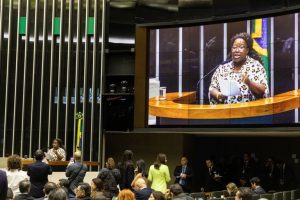 Ministra Macaé Evaristo durante participação na Comissão Geral da Câmara dos Deputados para debater a proteção de crianças e adolescentes em ambientes digitais - Foto: Vitor Vasconcelos / Secom-PR