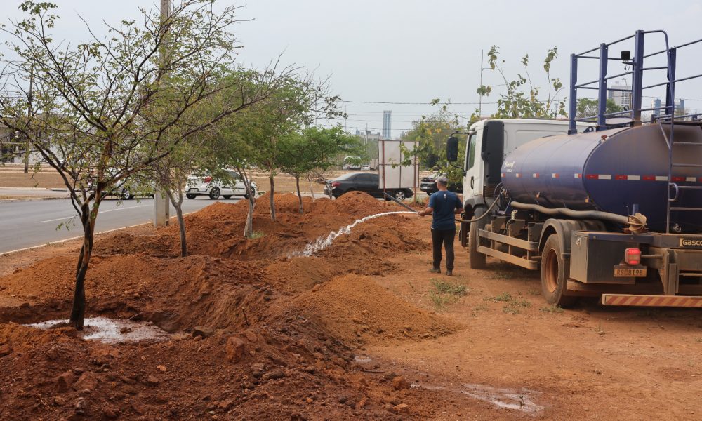 Serviços de irrigação em grande escala ocorrem em Palmas, neste sábado, 2 – Foto: Lia Mara